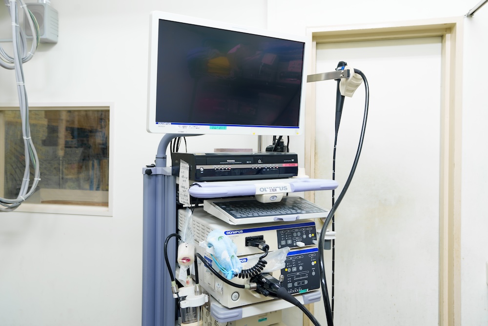 胃内視鏡（胃カメラ）